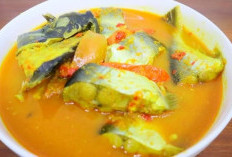 5 Manfaat Luar Biasa Ikan Patin untuk Tubuh Sehat dan Bugar