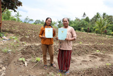 Reforma Agraria Desa Soso, Menguatkan Peran Petani Perempuan Menuju Kesejahteraan