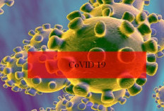 Varian Baru COVID-19 ‘Stratus’ (XFG) Dominasi Kasus di Indonesia