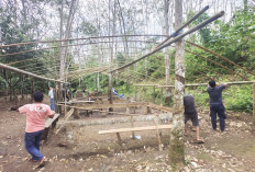 Arena Sabung Ayam Digrebek, Ternyata Penjudinya Sudah Bubar Duluan