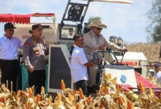 Transaksi Jagung