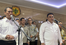 Harga TBS Turun Saat CPO Dunia Naik, Satgas Pangan dan KPPU Telusuri Dugaan Persekongkolan