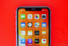 Masih Layak di 2025, iPhone 11 Pro Ternyata Punya Fitur Kamera Canggih yang Sering Dilupakan