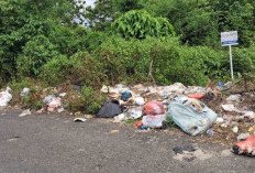 Warga Resah Sampah Liar Kembali Menumpuk  