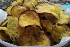 Manfaat Keripik Terong untuk Kesehatan