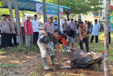 Polres OKU Bagikan 10 Hewan Kurban 