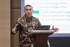 Wamen ATR/Waka BPN Tekankan Pentingnya Satu Data Sawah Nasional untuk Perkuat Perlindungan Lahan Pertanian