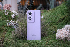 Oppo Reno11 F 5G Usung Fitur AI Canggih dan Gandeng BSS Seventeen 