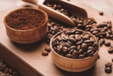 Tak Hanya untuk Ngopi, Bubuk Kopi Bisa Sembuhkan Luka!