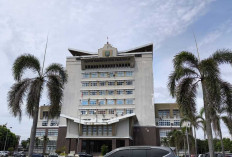 ASN Mangkir Empat Tahun Dipecat Tidak Hormat