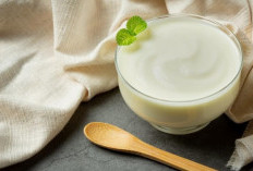 7 Manfaat Yoghurt untuk Kesehatan Tubuh yang Wajib Anda Ketahui