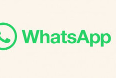 7 Tanda Akun WhatsApp Kamu Diretas dan Cara Mengatasinya