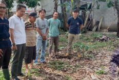 Tinjau Langsung Lokasi Longsor