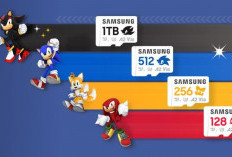 Samsung Luncurkan Kartu microSD Bertema Sonic the Hedgehog