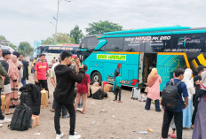 Arus Balik Belum Mencapai Puncaknya