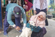 Cegah Rabies, Jemput Bola Vaksinasi Hewan dari Rumah ke Rumah
