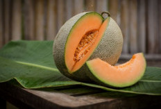 Manfaat Luar Biasa dari Buah Melon: Nutrisi dan Khasiat untuk Kesehatan