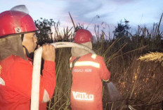 Karhutla Kembali Muncul di OKI, 16 Hotspot Terdeteksi dalam Sepekan