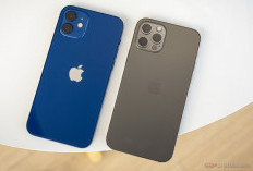Harga iPhone Turun di Juli 2025, Mulai Rp 6 Jutaan hingga Rp 33 Juta