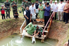 Tebar Benih, Target Seluruh Warga Desa Marta Jaya Punya Kolam Ikan Gabus