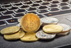 Cara Investasi Cryptocurrency yang Aman untuk Pemula di Tahun 2025