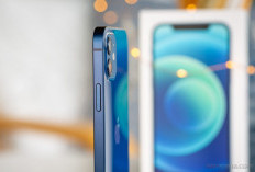 Harga iPhone 12 Turun di 2025, Pilihan Menarik Buat yang Cari HP Flagship Murah