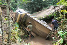 Jembatan Penghubung Tiga Dusun Ambruk, Truk Terjun ke Sungai