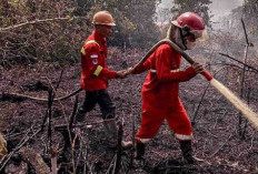 Sepanjang Tahun 2024 Sudah 750 Hektare Lahan dan Hutan di Sumsel Terbakar