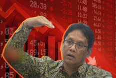 FDI Purbaya
