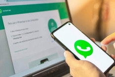 10 Cara Agar WhatsApp Menunjukkan Centang Satu