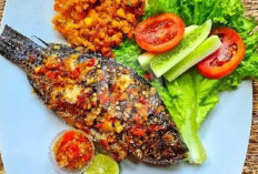 Sensasi Pedas dan Gurih! Resep Ikan Bakar Nila yang Wajib Dicoba