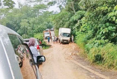 Ratusan Rumah di Sumsel Rusak Akibat Hujan dan angin Kencang
