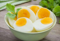 Jangan Takut Makan Kuning Telur, Ini 5 Manfaatnya untuk Kesehatan Tubuh