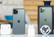 Harga Bekas iPhone 11 Pro Max Turun Drastis, Kini Mulai Rp 4 Jutaan di 2025
