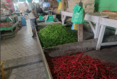 Harga Cabai di OKU Melejit, Pedagang Menjerit