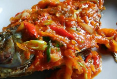 Resep Gurame Saus Padang yang Pedas Gurih dan Bikin Nagih