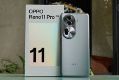 Oppo Reno 11 Series Kini Lebih Terjangkau, Fitur Premium Tetap Hadir