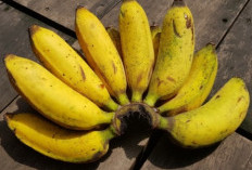 13 Manfaat Luar Biasa Pisang untuk Kesehatan