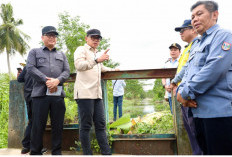 Tinjau Irigasi di Banyuasin, Wamendagri Bima Arya Tegaskan Pentingnya Perbaikan Irigasi untuk Tingkatkan Hasil