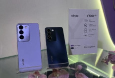 Vivo Y19s Turun Harga, Smartphone Kamera AI 50 MP dan Baterai Besar Kini Makin Terjangkau