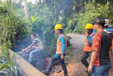 Pohon Tumbang Hambat Aktivitas Warga, BPBD OKU Selatan Lakukan Evakuasi