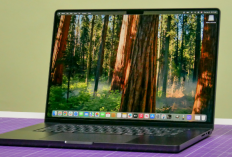 Rekomendasi 5 Laptop Content Creator Terbaik Februari 2026 Editing dan Render Ngebut