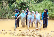 Akses Jalan Desa Rusak, Hambat Mobilitas Warga