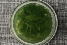 Resep Bening Daun Katuk, Hidangan Sehat dan Bergizi untuk Ibu Menyusui