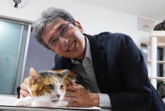 Ilmuwan Akhirnya Ungkap Misteri Warna Bulu Kucing Oren