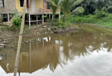 Buaya Sepanjang 4 Meter Gegerkan Warga