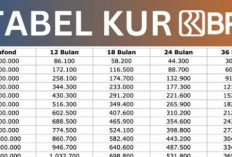 KUR BRI 2024 Tabel Pinjaman Hingga Rp100 Juta dengan Suku Bunga Super Mikro 3%