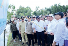 Hingga Maret Sumsel Produksi Padi Tertinggi