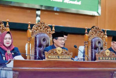 Bentuk Satgas Optimalkan Potensi Daerah