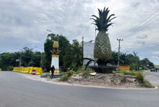 Warga Prabumulih Tolak Pembongkaran Tugu Nanas Lama